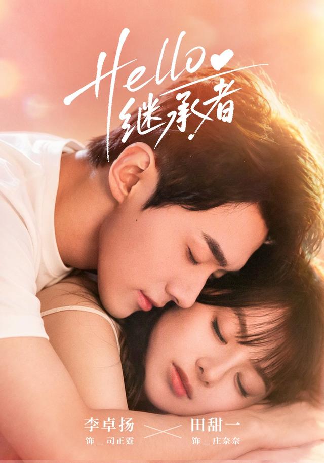 Hello继承者海报