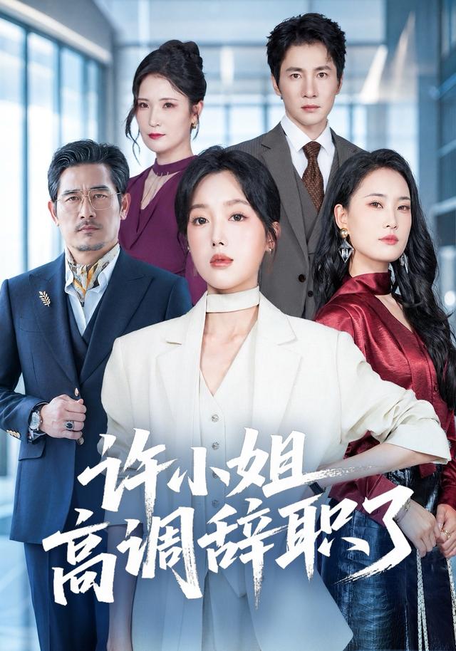 许小姐 高调辞职了海报